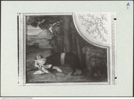 Vorderseite von bh271994_recto