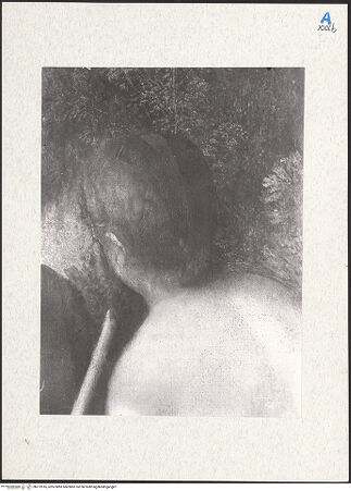 Vorderseite von bh272016_recto