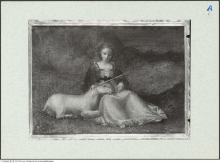 Vorderseite von bh272036_recto