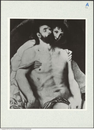 Vorderseite von bh272038_recto