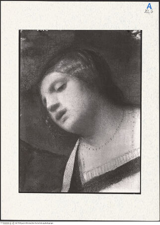 Vorderseite von bh272045_recto