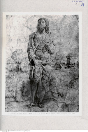 Vorderseite von Alinari [http://creativecommons.org/publicdomain/mark/1.0/] Johannes der Täufer (Kopie von der Gegenseite) - , bh272050. Foto.