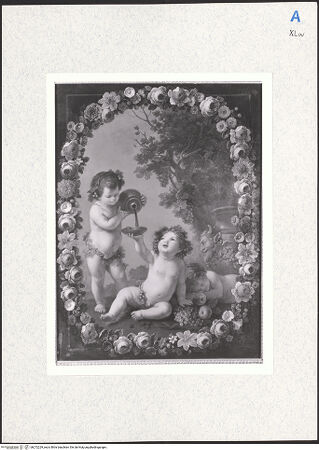 Vorderseite von bh272229_recto