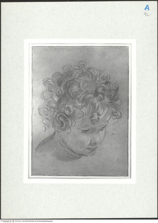 Vorderseite von bh272231_recto