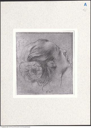 Vorderseite von bh272237_recto