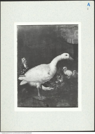 Vorderseite von bh272277_recto