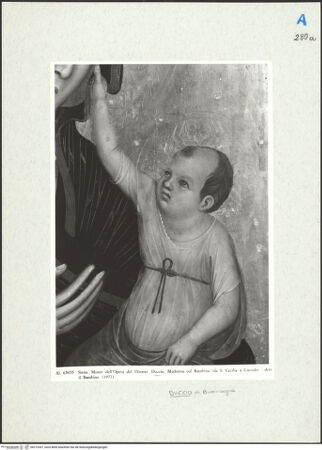 Vorderseite von bh272437_recto