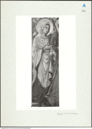 Vorderseite von bh272450_recto