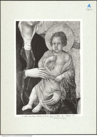 Vorderseite von bh272477_recto