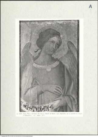 Vorderseite von bh272484_recto