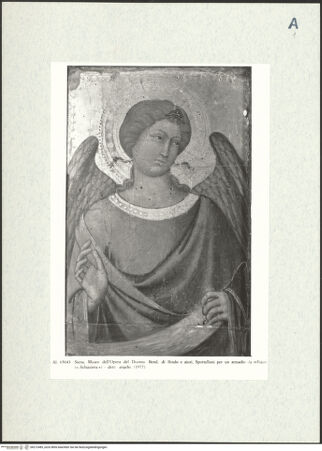 Vorderseite von bh272485_recto