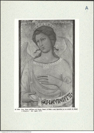 Vorderseite von bh272486_recto