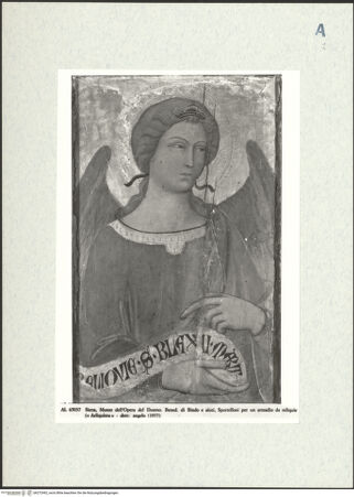 Vorderseite von bh272492_recto