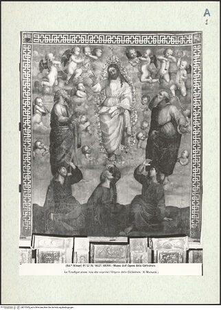 Vorderseite von bh272503_recto