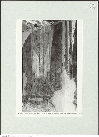 Vorderseite von bh272629_recto