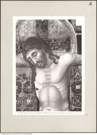 Vorderseite von bh272681_recto