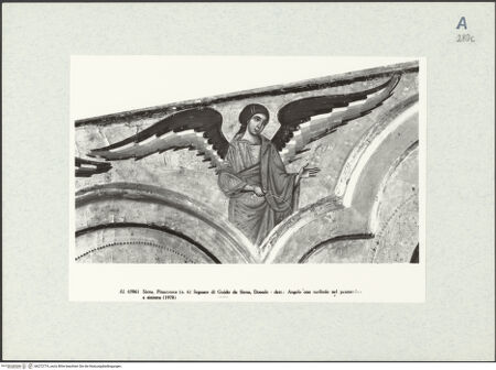 Vorderseite von bh272774_recto