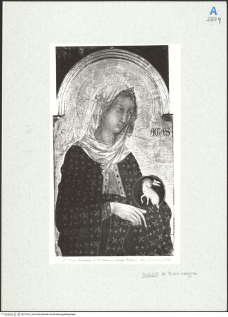 Vorderseite von bh272812_recto