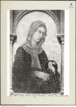 Vorderseite von bh272852_recto