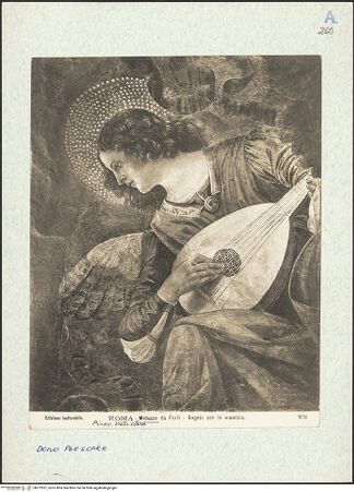 Vorderseite von bh272931_recto