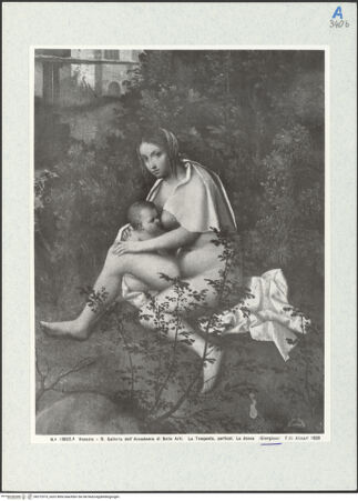 Vorderseite von bh272973_recto