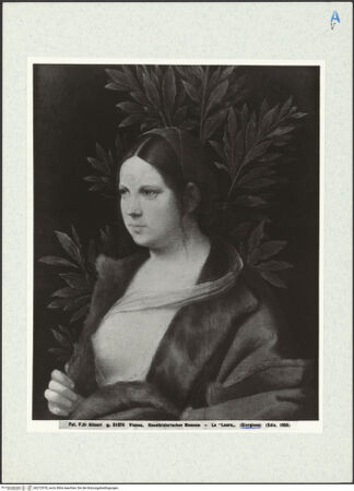 Vorderseite von bh272978_recto