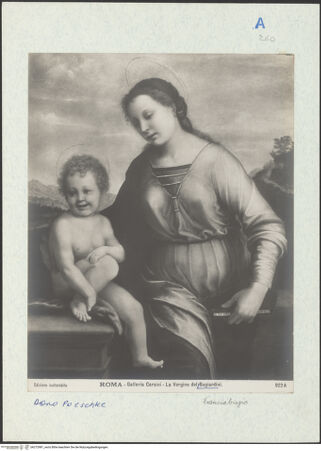 Vorderseite von bh272981_recto