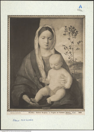 Vorderseite von bh272988_recto