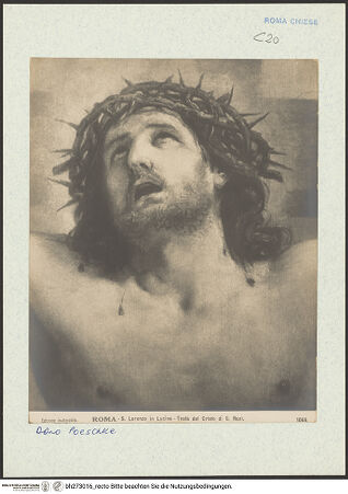 Vorderseite von bh273016_recto