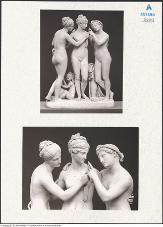 Vorderseite von bh273106_bh273107_recto