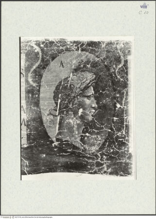 Vorderseite von bh273190_recto