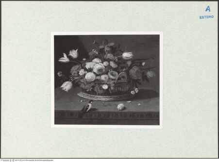 Vorderseite von bh273194_recto