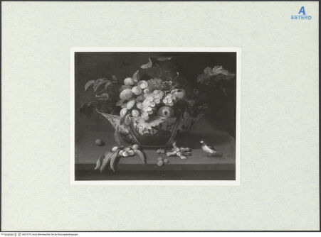 Vorderseite von bh273197_recto