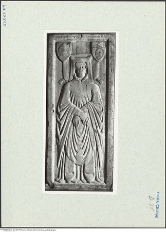 Vorderseite von bh273229_recto