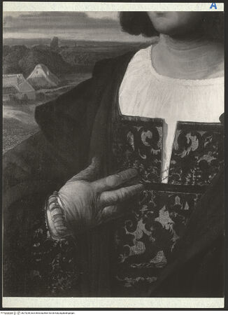 Vorderseite von bh273238_recto