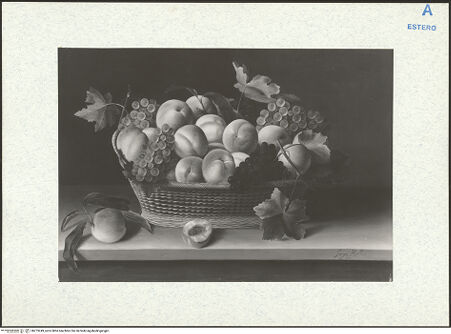 Vorderseite von bh273249_recto