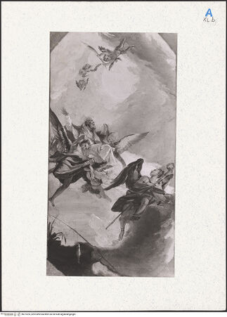 Vorderseite von bh273255_recto