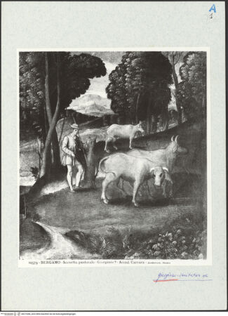 Vorderseite von bh273286_recto