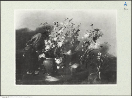 Vorderseite von bh273310_recto