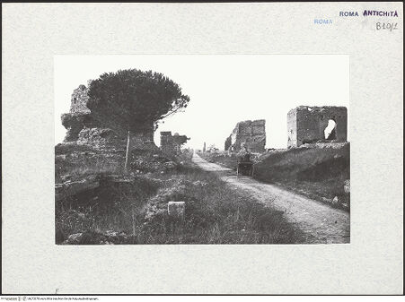 Vorderseite von bh273378_recto