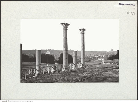 Vorderseite von bh273393_recto