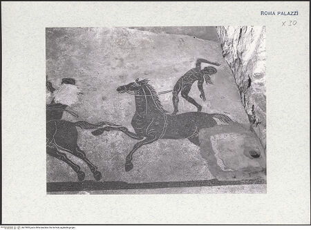 Vorderseite von bh273835_recto