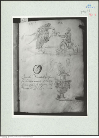 Vorderseite von bh273924_recto