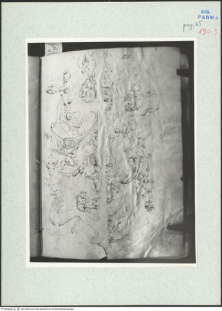 Vorderseite von bh273926_recto