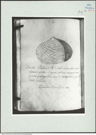 Vorderseite von bh273937_recto