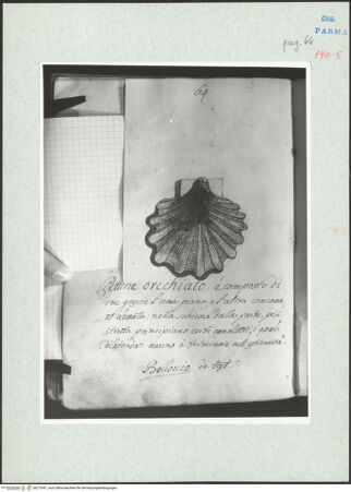 Vorderseite von bh273941_recto