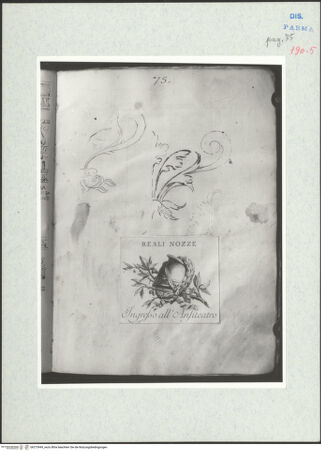 Vorderseite von bh273949_recto