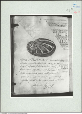 Vorderseite von bh273950_recto