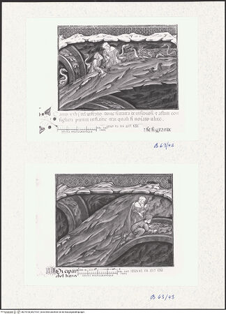 Vorderseite von bh274100_bh274101_recto