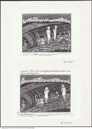 Vorderseite von bh274103_bh274104_recto